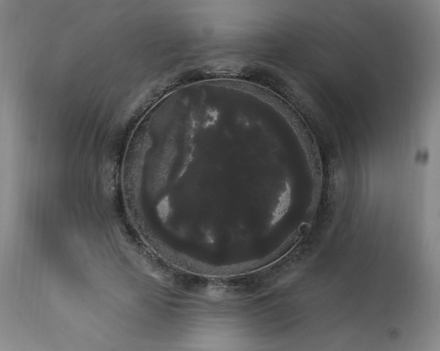 X0000113980641200910021137