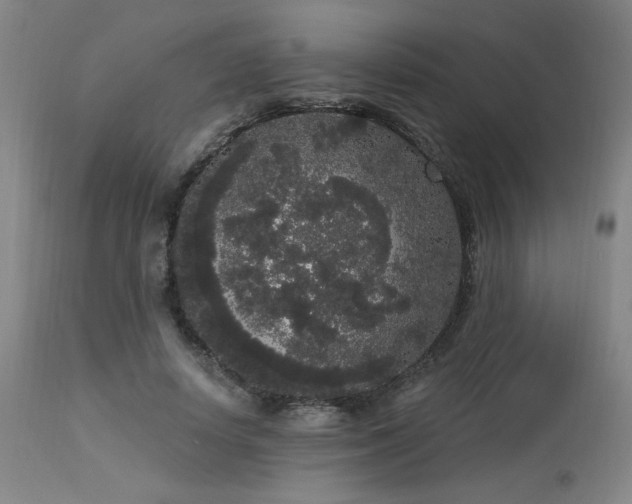 X0000113980642200910021137