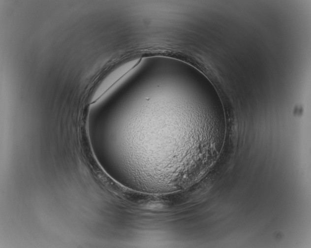 X0000113980643200910021137