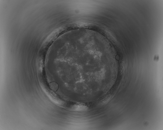 X0000113980644200910021137