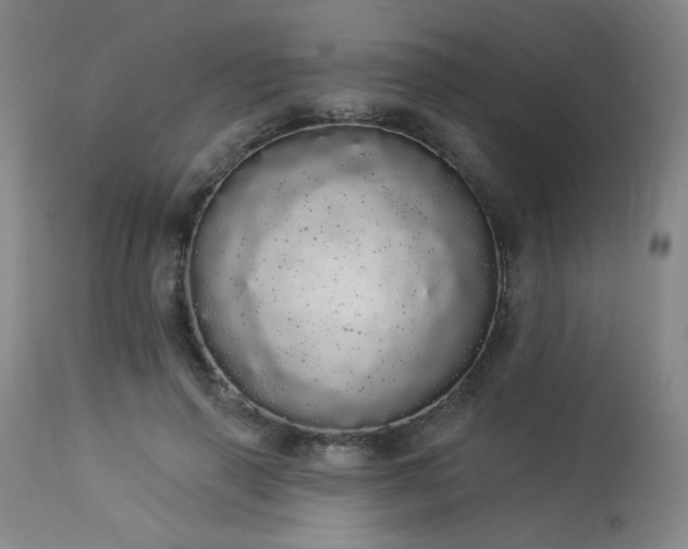 X0000113980645200910021137