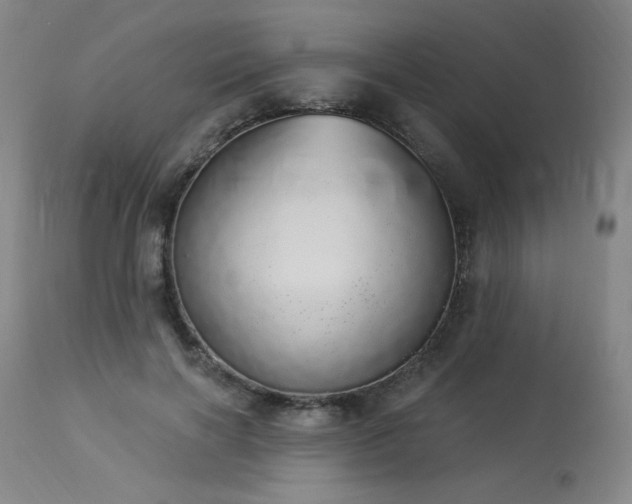 X0000113980646200910021138