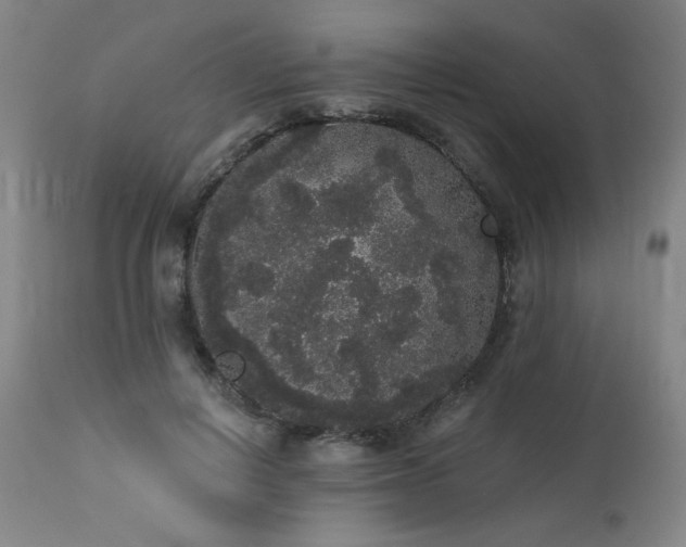 X0000113980648200910021138