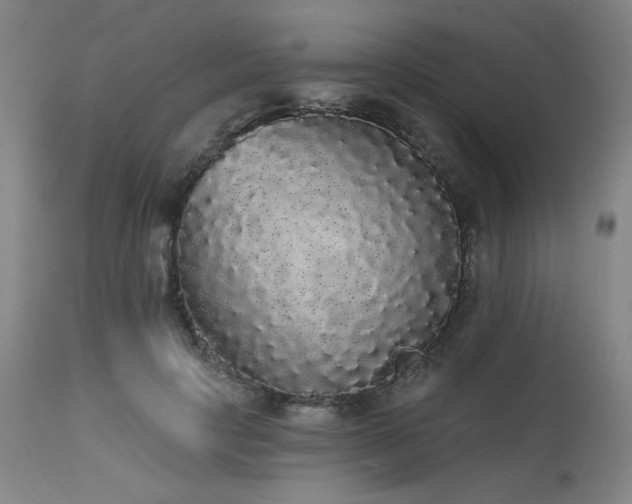 X0000113980649200910021138