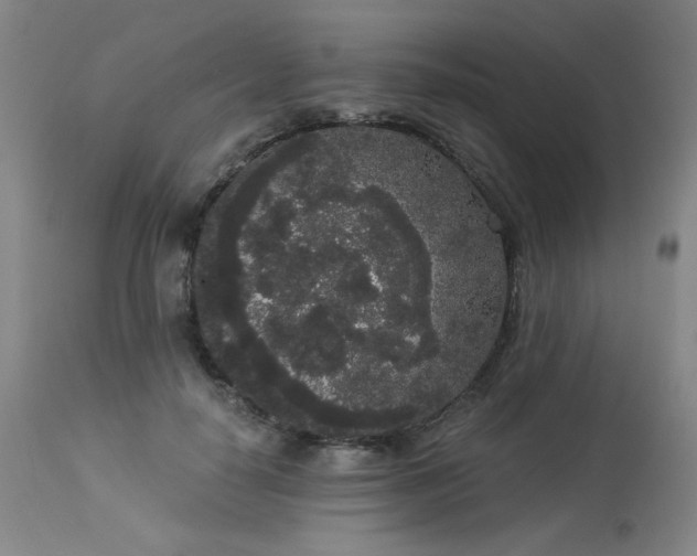 X0000113980650200910021138