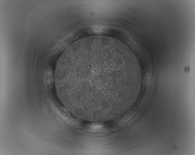 X0000113980651200910021138