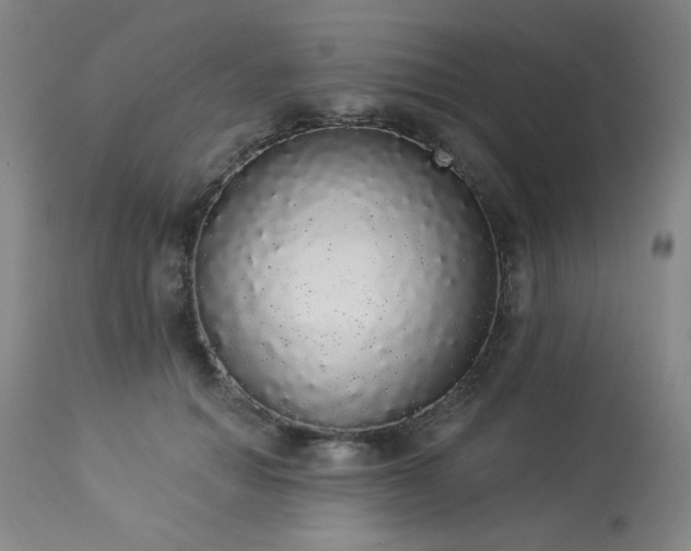 X0000113980654200910021138