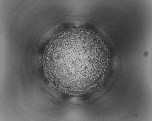 X0000113980657200910021138