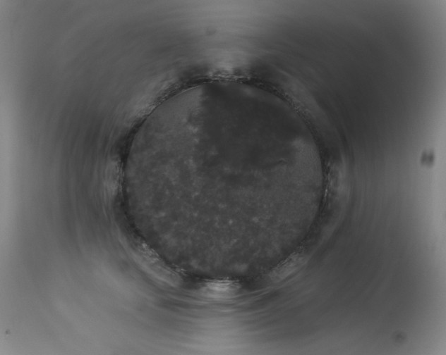 X0000113980659200910021138