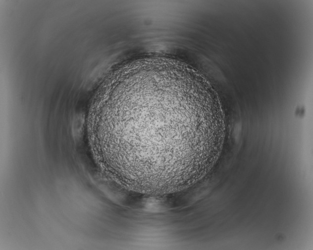 X0000113980660200910021138