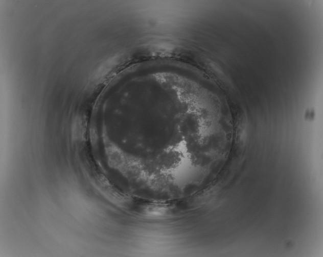 X0000113980661200910021138