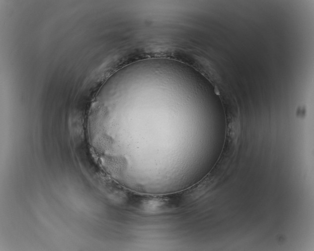 X0000113980662200910021138