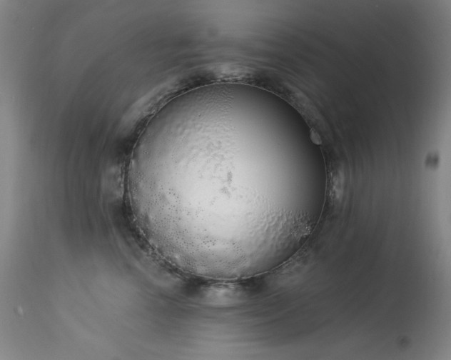 X0000113980666200910021138