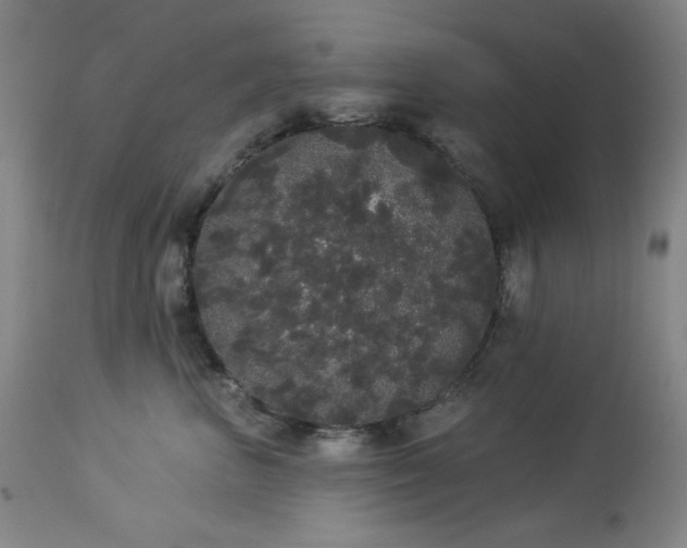 X0000113980667200910021138