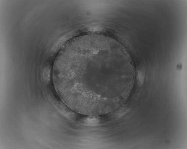 X0000113980668200910021138