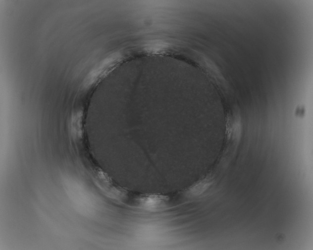 X0000113980670200910021138