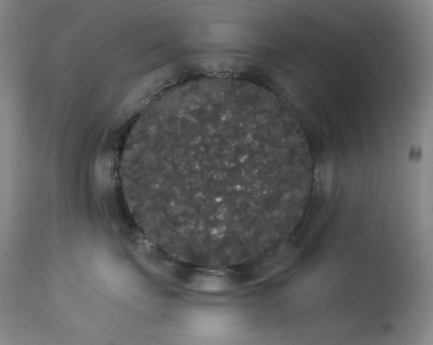 X0000113980671200910021138