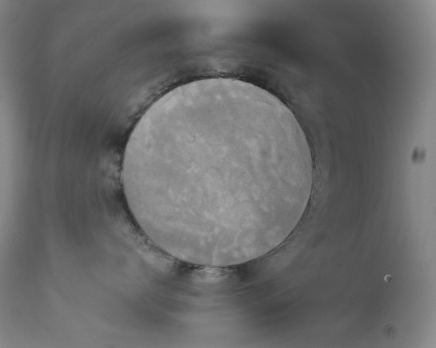 X0000113980672200910021138