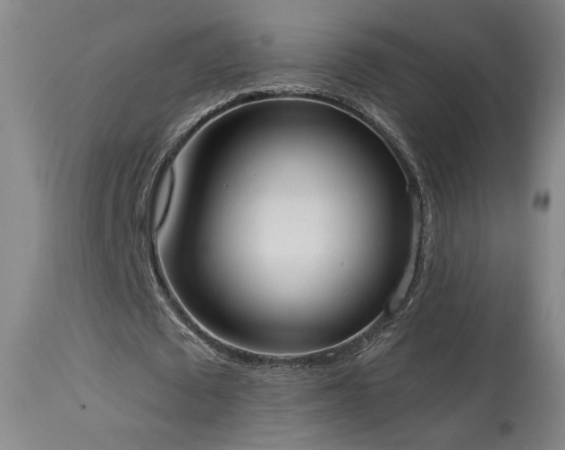 X0000113980673200910021137