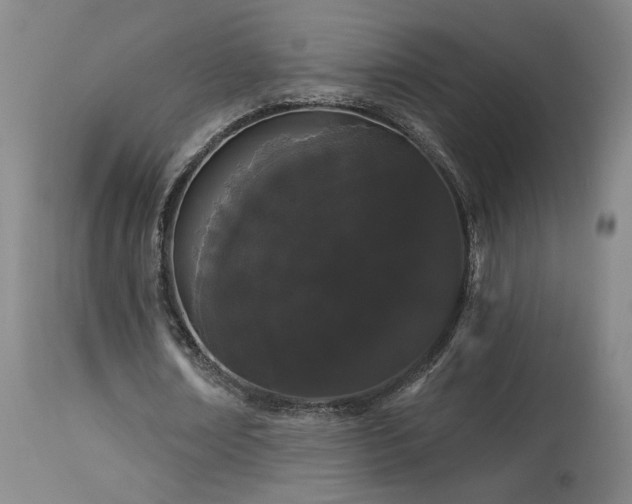 X0000113980674200910021137