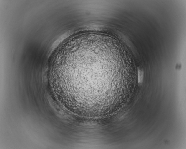 X0000113980675200910021137