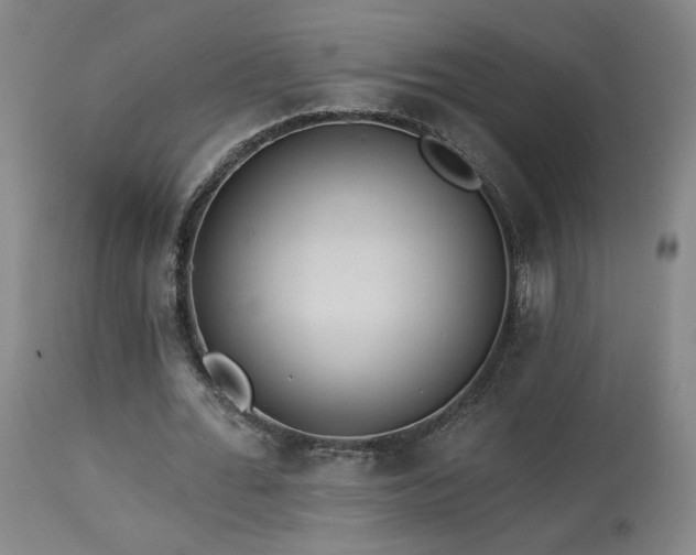 X0000113980676200910021137