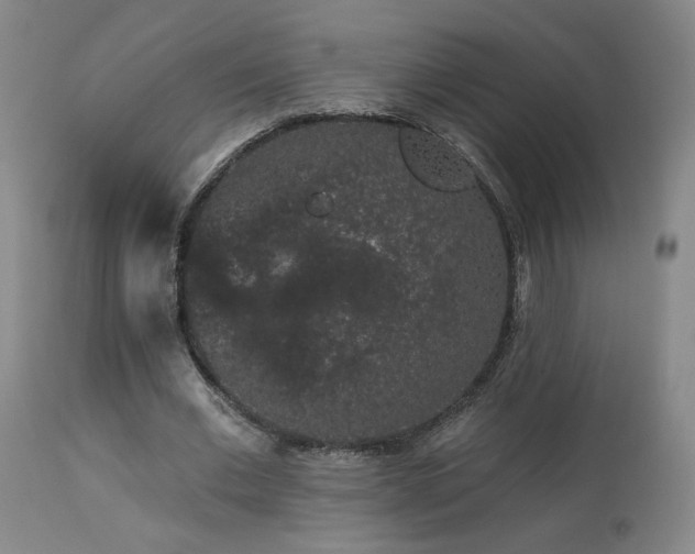 X0000113980677200910021137