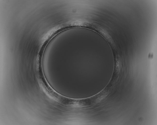 X0000113980678200910021137