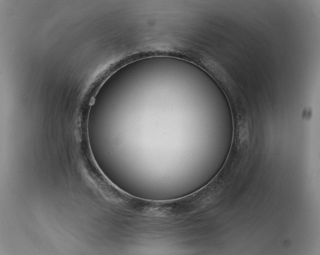 X0000113980680200910021137