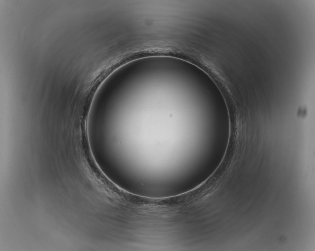 X0000113980681200910021137