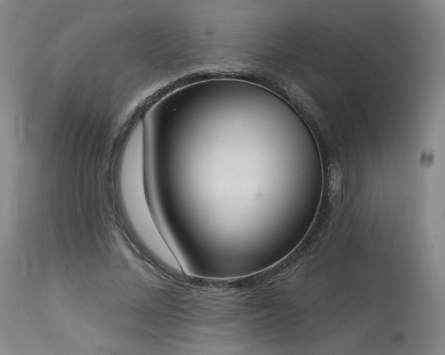 X0000113980684200910021137