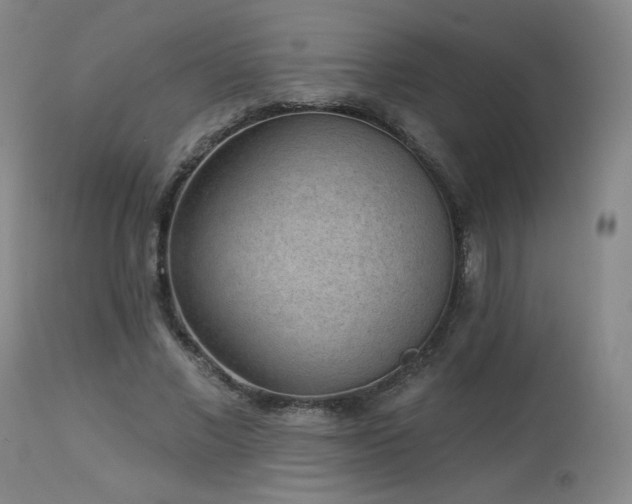 X0000113980685200910021137