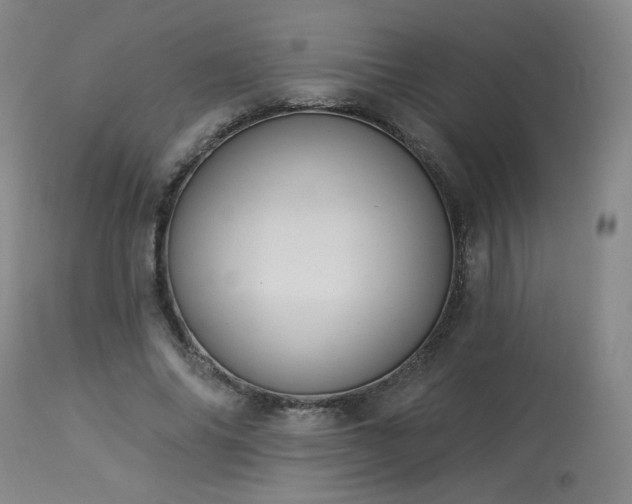 X0000113980686200910021137