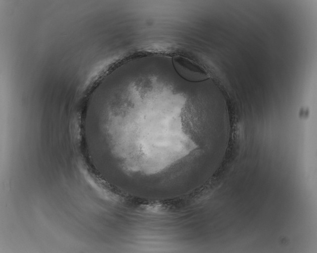 X0000113980688200910021137