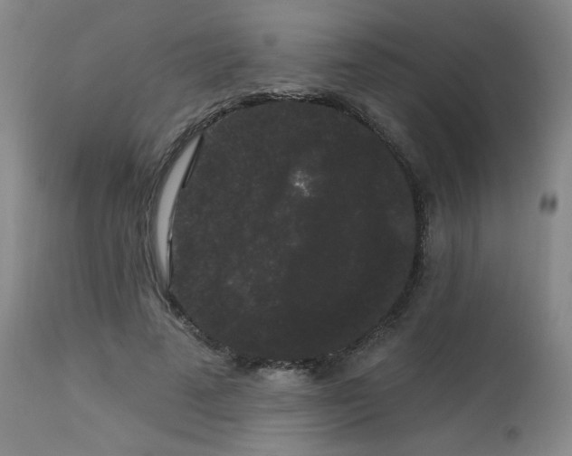 X0000113980689200910021137