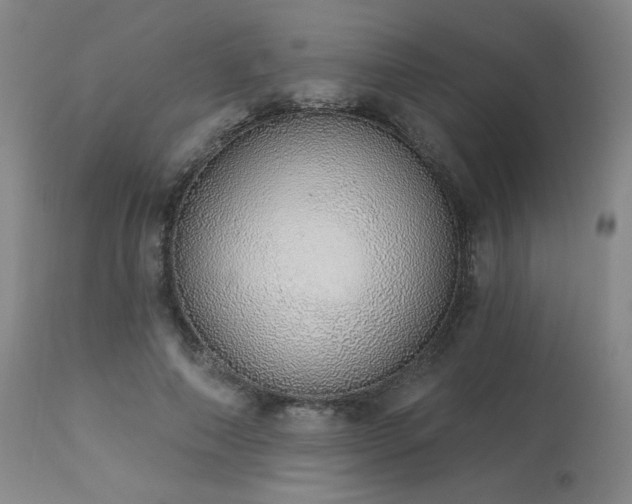 X0000113980690200910021137