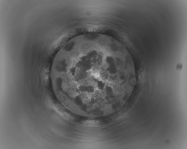 X0000113980691200910021137