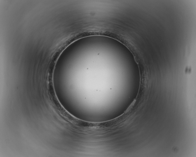 X0000113980692200910021137