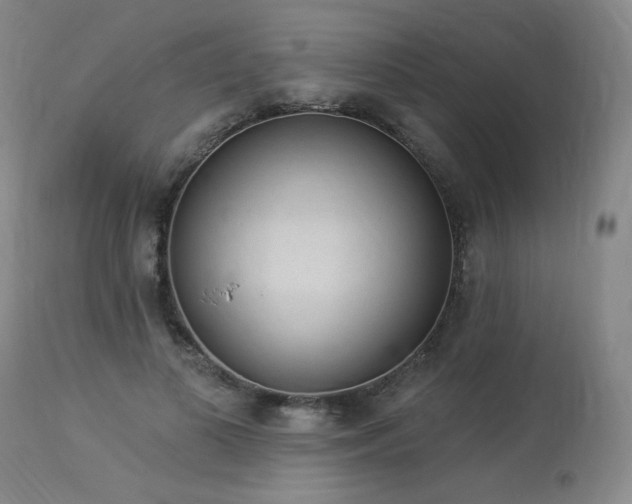 X0000113980693200910021137