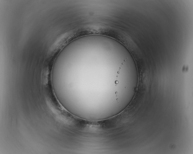 X0000113980694200910021137