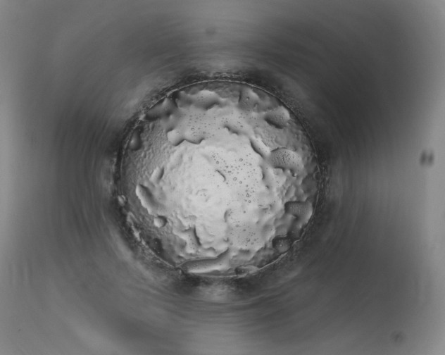 X0000113980695200910021137