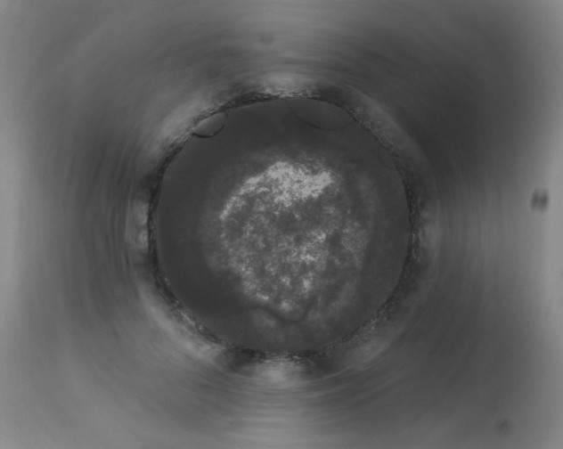 X0000113980696200910021137