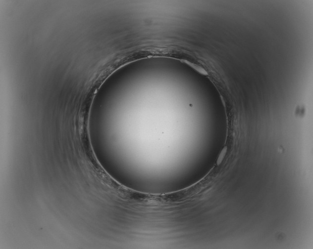 X0000113980697200910021137