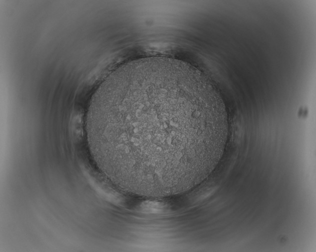 X0000113980699200910021137