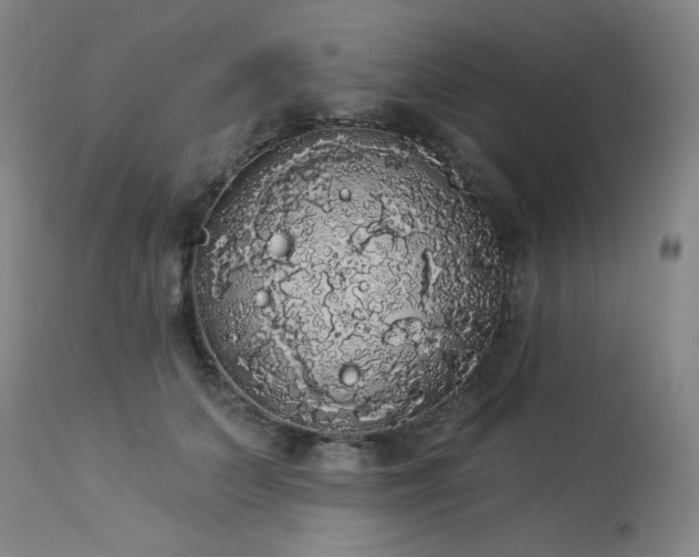 X0000113980703200910021137