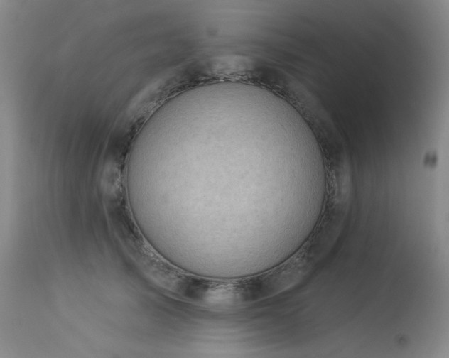 X0000113980705200910021137