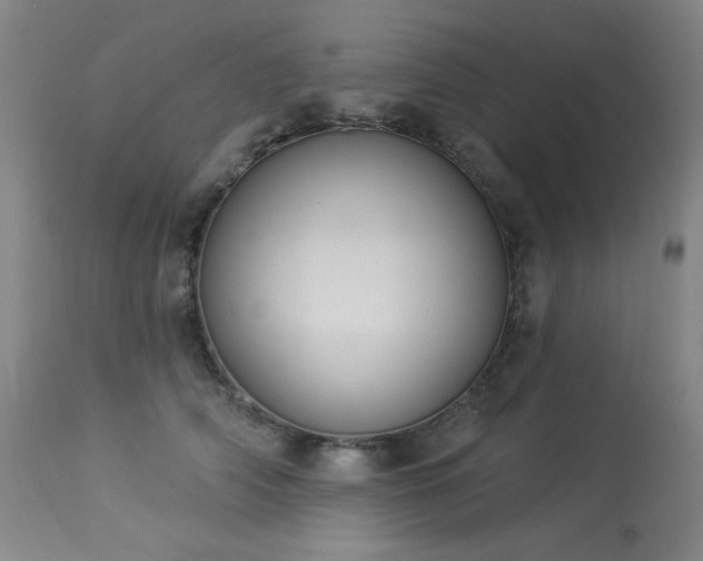 X0000113980706200910021137