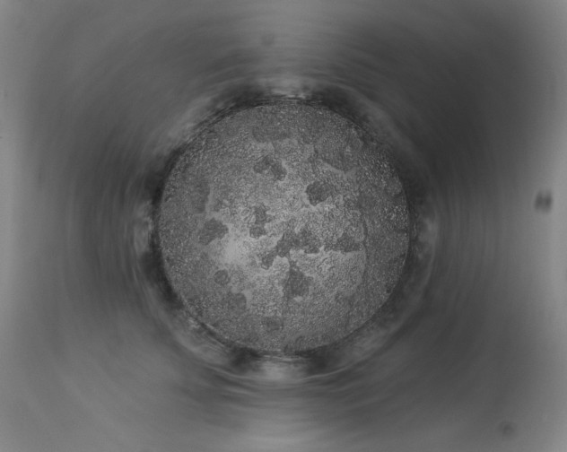 X0000113980707200910021137