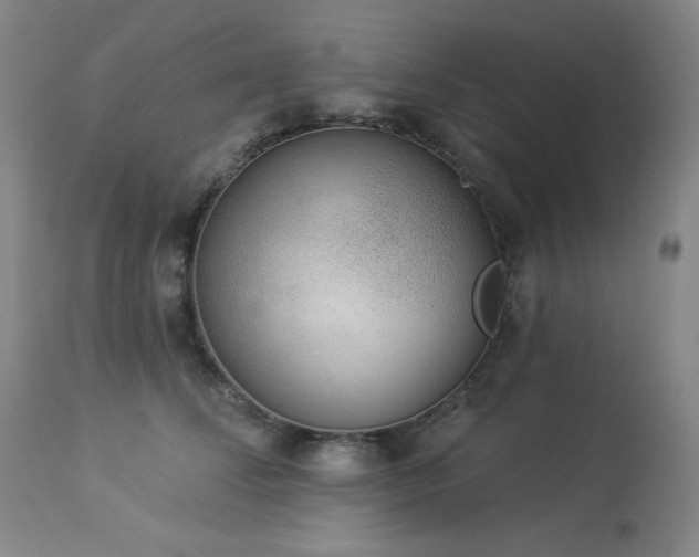 X0000113980708200910021137