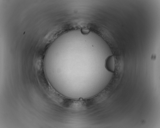 X0000113980709200910021137